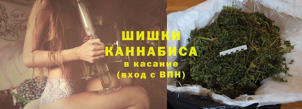 стаф Заводоуковск