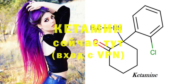 стаф Заводоуковск