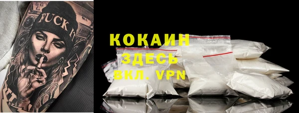 стаф Заводоуковск