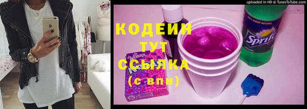 стаф Заводоуковск