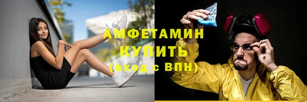 стаф Заводоуковск