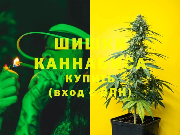 стаф Заводоуковск