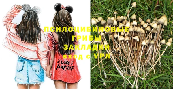 стаф Заводоуковск