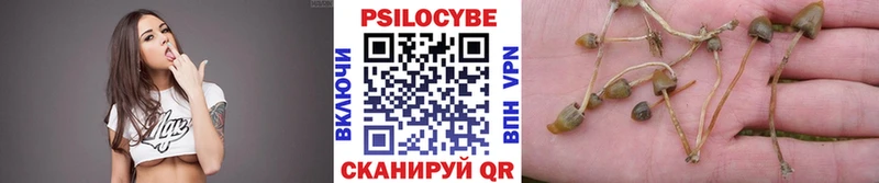 Галлюциногенные грибы прущие грибы  Купить закладки  Чебаркуль 