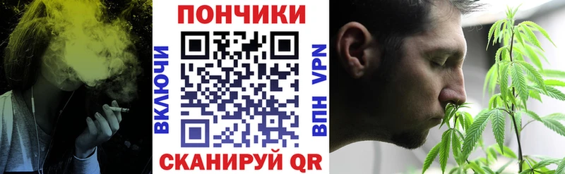 Купить где  Чебаркуль  Конопля ГИДРОПОН 
